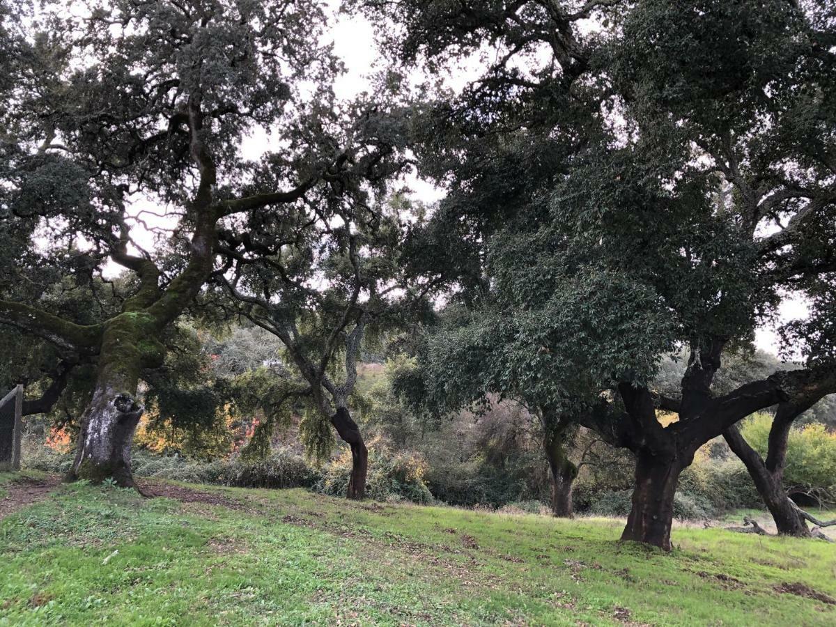 Cercado Forero Cortegana Εξωτερικό φωτογραφία
